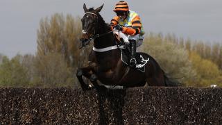 Gold Cup favourite Might Bite